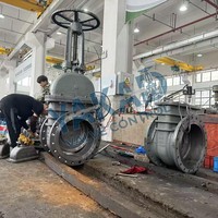 Válvula de Compuerta de Acero Inoxidable con Indicador de Posición, Bridada, con Visualización del Estado de Apertura/Cierre