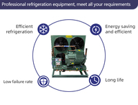 Équipement de réfrigération et de congélation à froid ouvert Capacité 5HP 20HP Noyau de moteur Condenseur 8hp 10hp 15hp 20hp Dissipation thermique