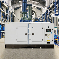 Générateur diesel silencieux étanche à la poussière à châssis ouvert triphasé RICARDO 300KW/375KVA GF-300 P10.238 ATS Prix bas garanti