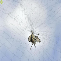 Filets de capture de chauve-souris en nylon invisibles pour attraper les oiseaux