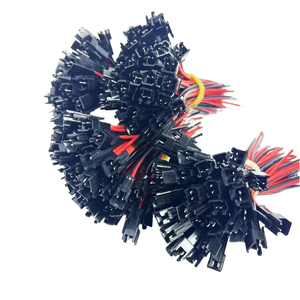 Connettore LED SM2.54 Personalizzato a 2, 3, 4, 5, 6 Pin, Maschio e Femmina, con Cavo Pigtail a 2, 3, 4, 5, 6 Pin, Lunghezza Totale - Product Image 6