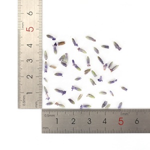 Flores de Lavanda Orgânica Secas, Botões de Lavanda, Chá de Lavanda em Grande Quantidade - Product Image 3