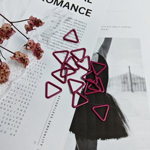 Sujetador de acero inoxidable de alta calidad, anillo deslizante, ganchos para traje de baño, gancho de correa de hierro recubierto de nailon, accesorios de ropa interior de fábrica, anillos para sujetador - Product Image 5