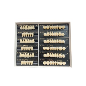 Source d'alimentation manuelle de l'usine CAIYU certifié CE ISO deux couches de <span class=keywords><strong>dents</strong></span> en résine synthétique ensemble complet de <span class=keywords><strong>dents</strong></span> en résine <span class=keywords><strong>composite</strong></span> - Product Image 2