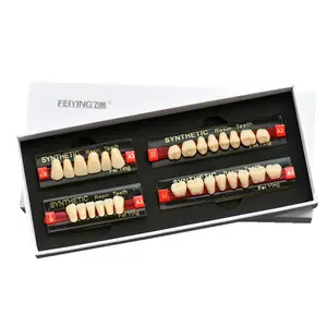 Groothandel hars tanden acryl prothese set tandheelkundige