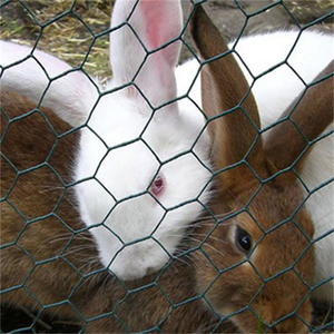 Chicken <b>Wire</b> <b>Mesh</b> Hexagonal Hole Chicken <b>Mesh</b> <b>Wire</b> Galvanized PVC Coated <b>Garden</b> Fence for Pet Rabbit Chicken Fence - Product Image 3