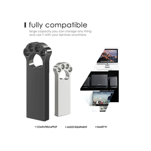 Memoria USB Metálica con Diseño de Pata de Gato, 1GB 2GB 4GB 8GB 2.0 Mini, 16GB 32GB 64GB 3.0, con Grabado Láser Gratuito - Product Image 3