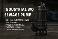 Pompe submersible en acier inoxydable pour drainage et transfert d'eaux usées, 220V 3Hp, pour puits et fosse de relevage des eaux souterraines