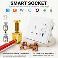 Prise intelligente Wi-Fi Tuya personnalisable noire de luxe, norme britannique 13A, en verre trempé, avec prise USB Type C B et commande vocale
