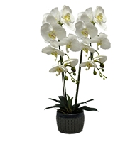 Haute Qualité Artificielle Plante En Pot Orchidée Fleur Artificielle Orchidée Bonsaï Fleur Avec Pot Plantes Artificielles Décoration