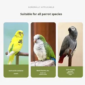 Papağan Kuş Kafesi Villa Çevre Dostu Taşınabilir Masif Ahşap Ferforje Cam Panoramik Tasarım Düğme Kapatmalı Büyük Irk Modern - Product Image 4