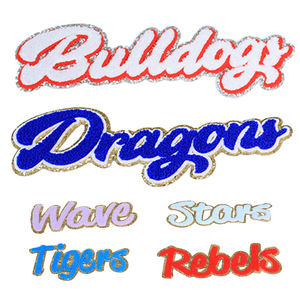 免费样品钱补丁刺绣定制设计师补丁著名品牌刺绣标志铁服装补丁 - Product Image 5