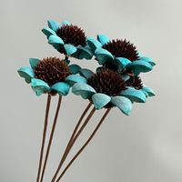 Bunga Magnolia Kering Awet Berkualitas Tinggi Grosir Kustom Huahuan, Populer di INS, untuk Dekorasi Rumah, Latar Belakang Pernikahan, dan Tanaman Hias
