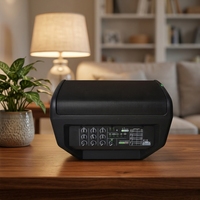 Système audio portable de monitoring de scène 150W 8 pouces avec haut-parleur DSP rechargeable, Bluetooth TWS et amplificateur de classe D