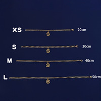 Collier en plastique moderne et tendance pour animaux de compagnie, avec pendentif dollar américain doré, pour canards, chiens et chats, style 'riche' et 'célébrité d'Internet', fabriqué en Chine