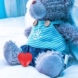 Cadeau vocal 20 secondes <span class=keywords><strong>Mini</strong></span>-Me Voice Recorder Box Record Message personnalisé pour peluche - Product Image 3