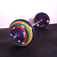Disques de poids colorés pour la musculation – Accessoires d'équipement de fitness pour l'entraînement en force