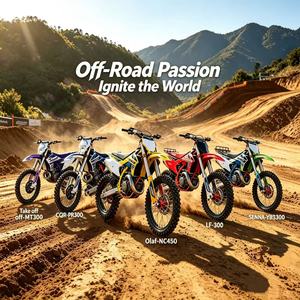 Motocicleta Todoterreno GX-Olaf-NC450 de Gasolina, 450cc, 4 Tiempos, Refrigerada por Agua, Suministro de Combustible PWK38, SOHC, 4 Válvulas, Dirección de Aleación de Aluminio CNC - Product Image 6