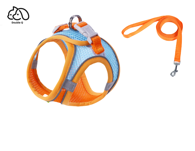 Orange blue
