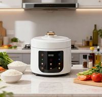 Cuisinière multifonctionnelle intelligente de petite taille, 5 litres, fabriquée en Chine, pour la cuisine, multifonctionnelle, 6 litres, cuiseur à pression électrique