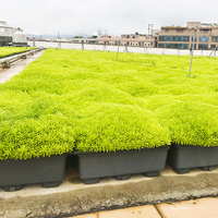 Jardinière pour pot de fleurs 0utdoor Garden Grow Tray Green Roof Systems pour légumes et fleurs