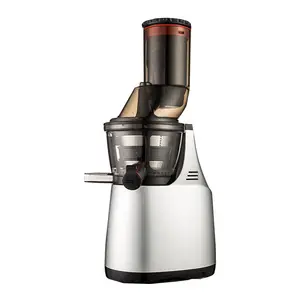 Giá Rẻ Hộ Gia Đình Chuyên Nghiệp Kim Loại Không Gỉ Cold Press Fruit Extractor Masticating Điện Chậm Máy Ép Trái Cây