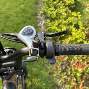 Vélo électrique pour adultes à 7 vitesses, vélo de montagne électrique de 250 <span class=keywords><strong>watts</strong></span>, vélo électrique à assistance au pédalage homologué pour la route avec batterie cachée - Product Image 4