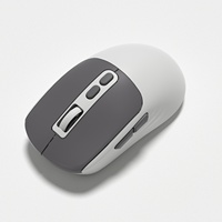 Nouvelle arrivée Souris sans fil ergonomique de jeu 2.4G à double mode rechargeable avec charge Type-C pour ordinateurs portables, téléphones mobiles et tablettes iPad
