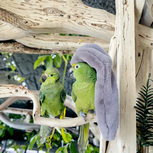 Gezellige hoekige pluche comfortabele deken voor papegaaien, warmtepad voor alle seizoenen, vogelnest, kooiaccessoires, tent, maat S, op voorraad - Product Image 3