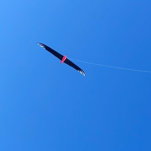 2026 Nuevo Cometa Personalizado de Fábrica, Fácil de Volar, Más Vendido, Grande, Cometa Cuchillo Pájaro 4m - Product Image 2