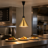 Lampe chauffante électrique commerciale pour aliments, plateau réglable et rétractable, or et noir, pour usage en cuisine professionnelle
