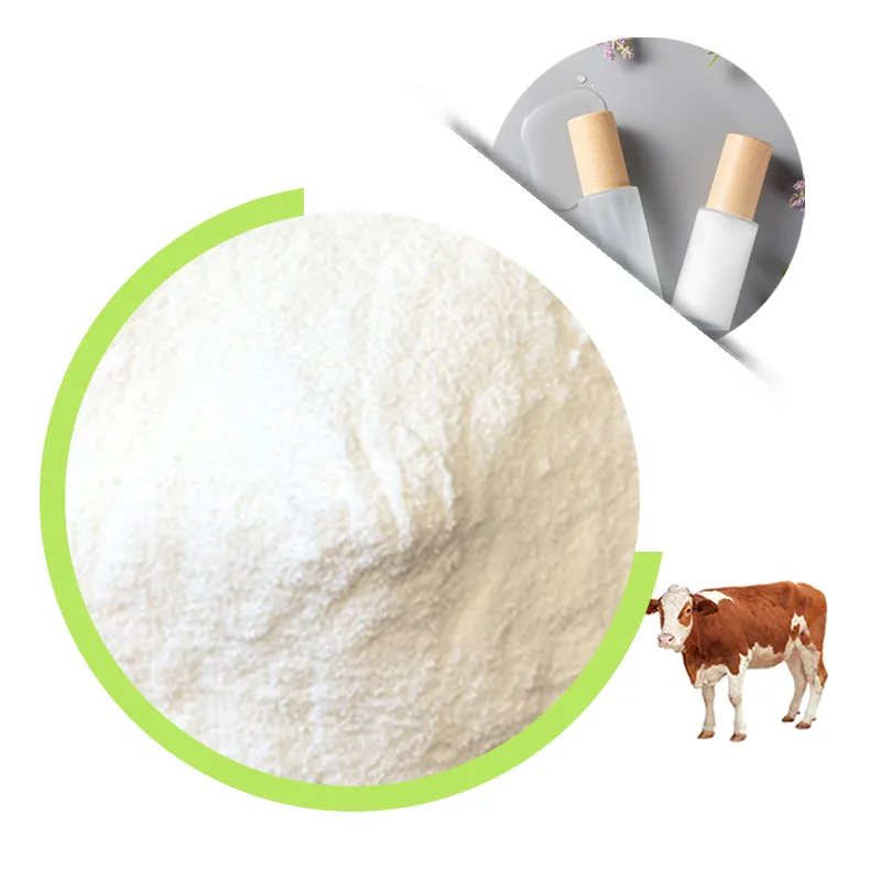純粋な自然食品グレード原料タイプ1 & 3ハラール牛コラーゲンペプチド粉末