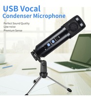 Microphone à condensateur de studio professionnel grande cartouche à diaphragme avec support de bras de ciseaux de filtre de montage de choc
