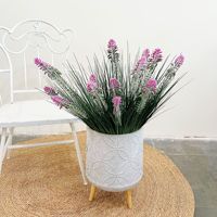 Tanaman Hijau Buatan, Rumput Pampas, Bunga Cockscomb, Rumput Liar, Tanaman Lanskap, Tanaman Hias Dekorasi Halaman