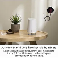 Thermomètre hygromètre de charge USB intelligent Tuya avec batterie rechargeable Zigbee activé pour les mesures de température externe