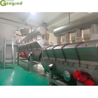 Ligne d'approvisionnement alimentaire Genyond Assaisonnement Ligne de production de granulés d'essence de poulet
