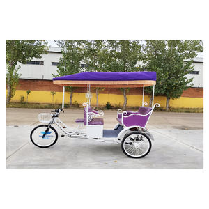 Bicicleta/Pedal de 3 ruedas respetuoso con el medio ambiente Open Body Pedicab Rickshaw Tuk Taxi con uso de pasajeros y buen precio - Product Image 3
