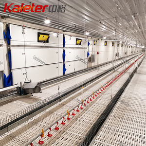 Broiler ebeveyn yetiştiriciliği için otomatik tavuk çiftlik ekipmanları kanatlı zincir besleyici sistemi Coop tavuklar ve damızlık ev besleme hattı - Product Image 1