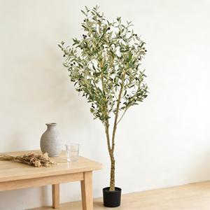<span class=keywords><strong>Olivo</strong></span> Artificial de 220 cm, <span class=keywords><strong>Olivo</strong></span> Artificial Casi Natural con Frutos, Proveedor de Plantas Artificiales <span class=keywords><strong>para</strong></span> Jardín, <span class=keywords><strong>Olivo</strong></span> Artificial - Product Image 4