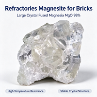 Matériaux réfractaires à 98 %, magnésite/magnésia blanche à gros cristaux fusionnés pour la production de briques MgO-C