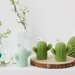 Cactus Geurkaars Geschenkdoos Set Met Hand Geschenken Plant Decoratie Kaars Ornamenten 5 Kleur
