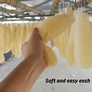 Biodegradable Raw Loofah Kitchen Sponge Dish Cleaning Luffa Sponge Dishwashing Whole Loofah