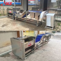 Commerciële Kleine Fruitverwerkingsmachine Nieuwe Staat Aardappelwasmachines Voor Taro Voor De Productie Van Zoete Snoep