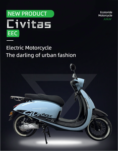2025 mejor venta de alta velocidad 45 km/h motocicleta eléctrica de larga duración 2000W EEC 60V batería de litio mejor velocidad máxima 60V26A Ratro - Product Image 2
