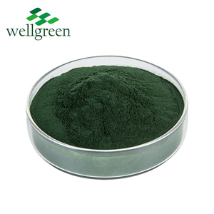 Wellgreen Naturel À Base De Plantes Plante Mûrier Extrait De Feuille 95% Sodium Cuivre Chlorophylline Poudre - Product Image 3