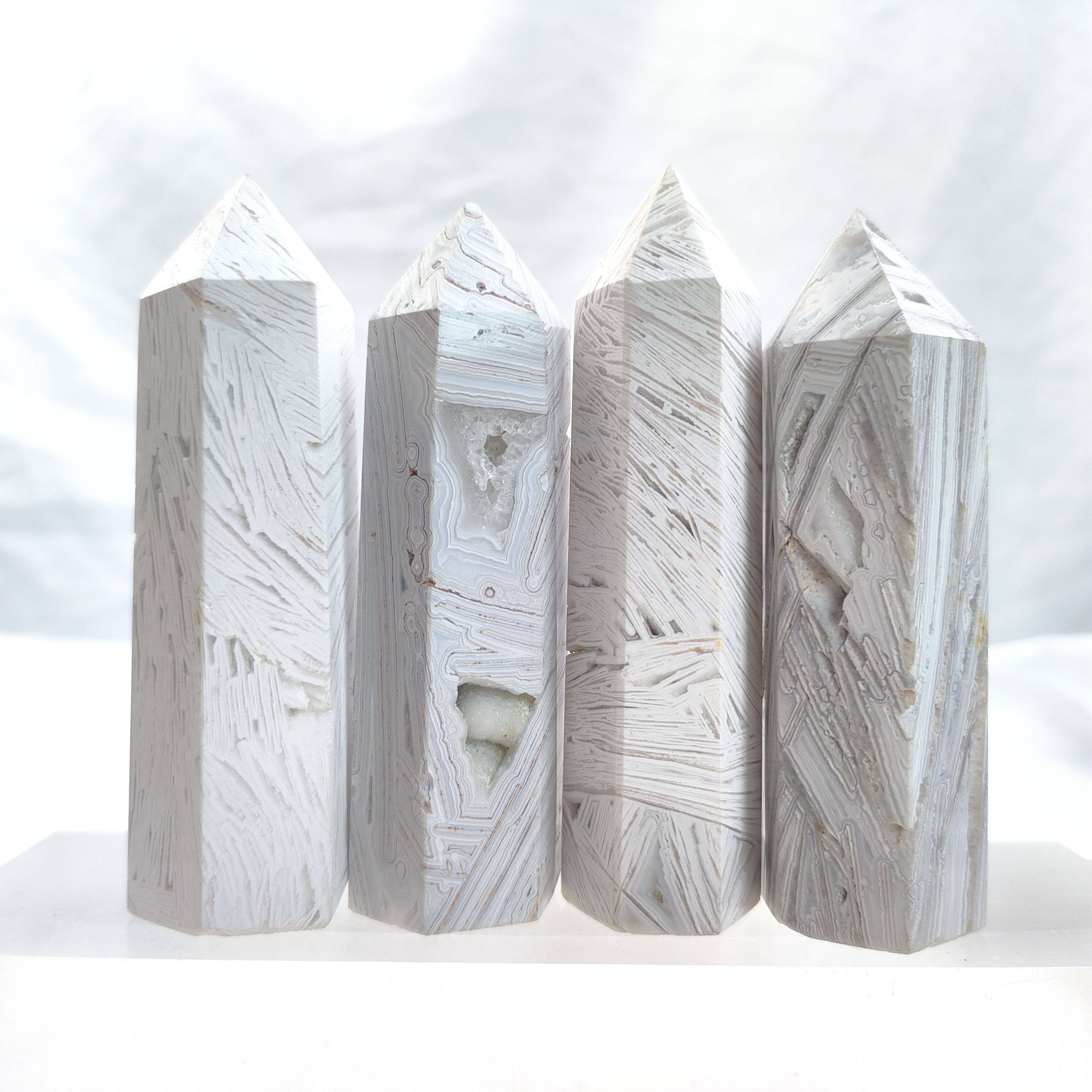 โมราเม็กซิกันสีขาว