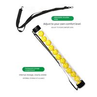Tube de collecte de balles de pickleball en plastique transparent sans bords, professionnel pour l'extérieur, avec sangle d'épaule, capacité de 14 balles, pour l'entraînement sportif