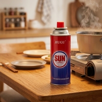 Barbecue portable moderne en métal à gaz butane pour cuisine extérieure, cuisson/cuiseur à charbon de bambou, coupe-vent et réglable