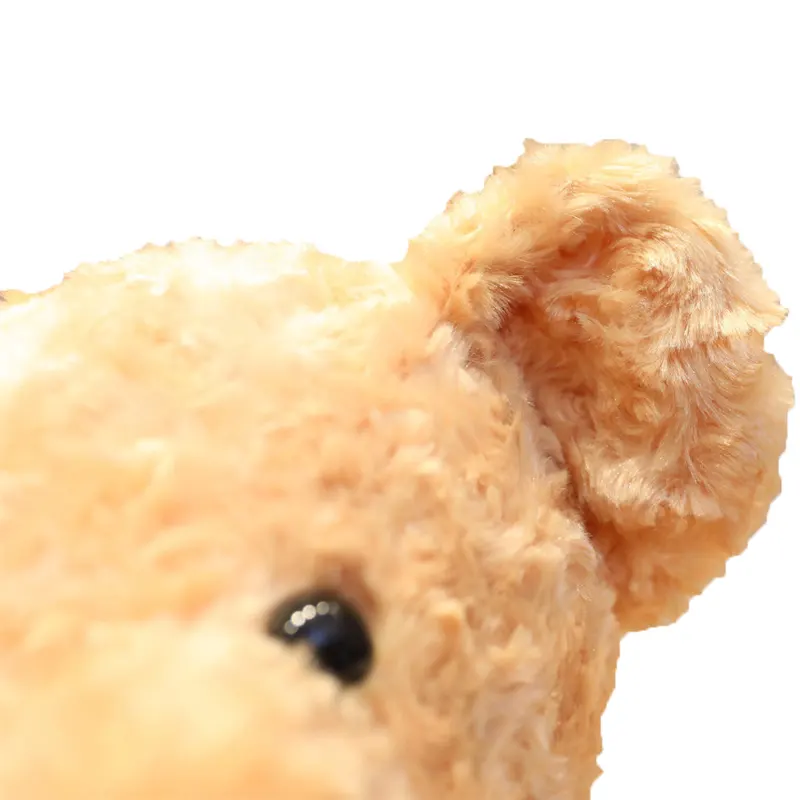 Raksasa Lembut Teddy Bear Distributor Di Amerika Serikat Ukuran Rom 50Cm untuk 300Cm Valentine Beruang Mainan