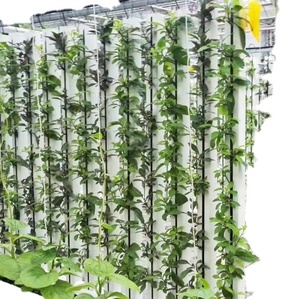 Tubo <span class=keywords><strong>de</strong></span> <span class=keywords><strong>PVC</strong></span> <span class=keywords><strong>de</strong></span> alta calidad, sistema hidropónico <span class=keywords><strong>de</strong></span> plantación Vertical, estante <span class=keywords><strong>de</strong></span> exhibición <span class=keywords><strong>de</strong></span> crecimiento, plantador - Product Image 1